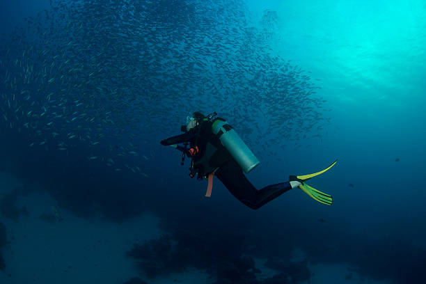 istock Female Diver - Palau, Micronesia 615976976