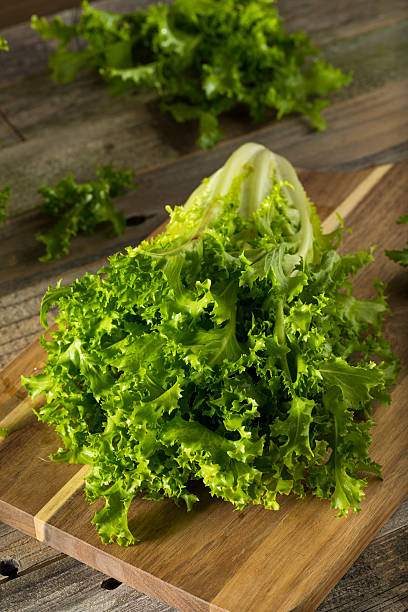 istock Raw Green Organic Endive Salad 615978640