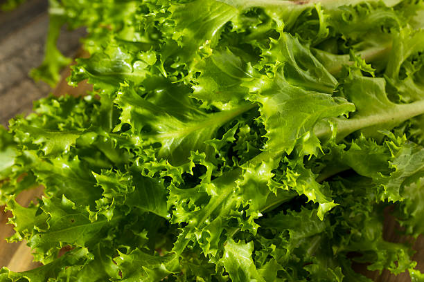istock Raw Green Organic Endive Salad 615978746