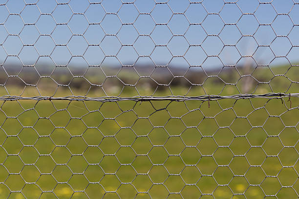 istock Chicken Wire Fence with blurred out country background 615979928