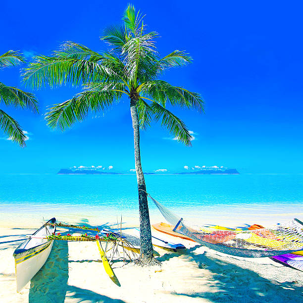 Amazing beach