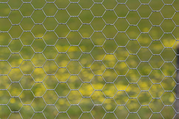 Hexagonal Chicken Wire fence pattern with spring flowers stock photo