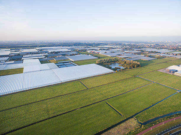 istock Aerial view of greenhouse in fields Netherlands 615981810