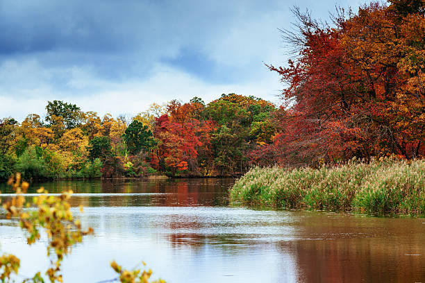 istock autumn landscape in park with river and blue sky 615984322