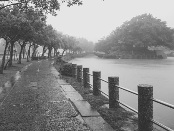istock Foggy morning near a lake 615984418
