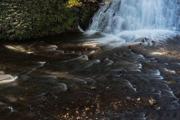 istock Nature waterfall in the forest water stream. 615987378