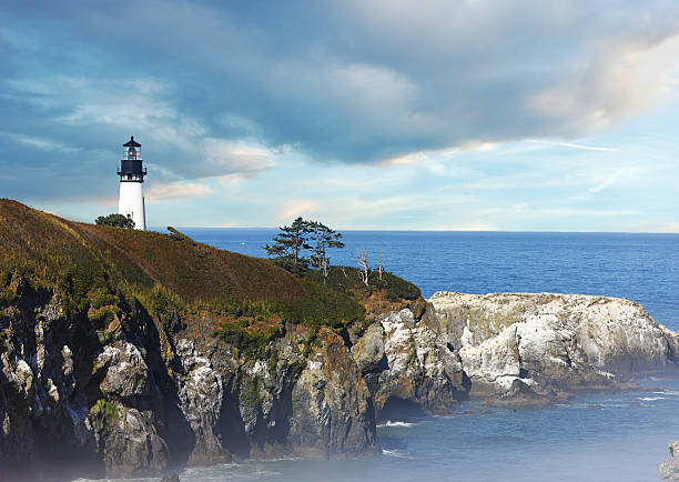 istock Lighthouse on the Oregon Coast 615987478