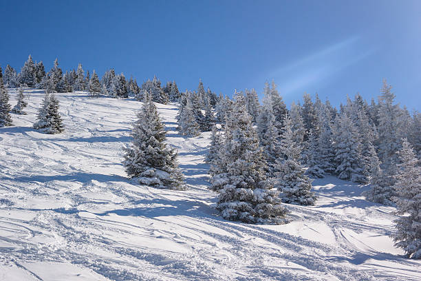 istock Winter Landscape with Snow and Trees 615988428