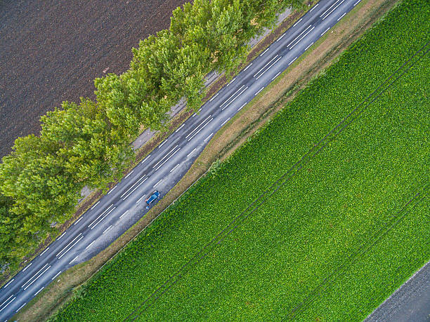 istock Aerial view of green fields with canals in Netherlands 615988886