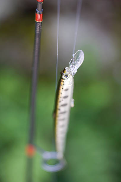 istock Trout fishing 615989078