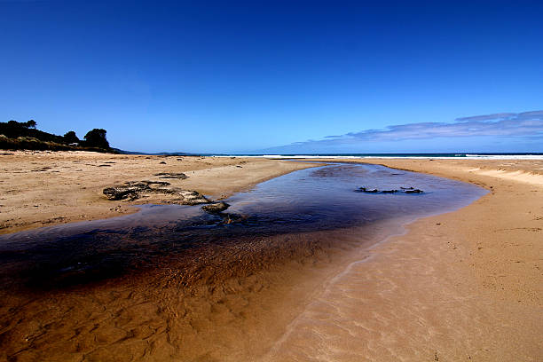 istock stream at Lorne beach, great ocean road 615990034