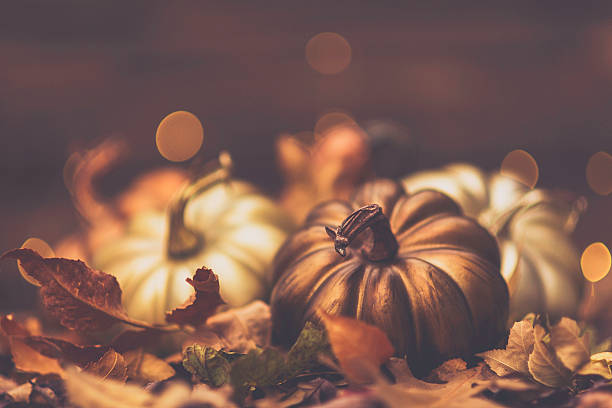 istock Luxurious still life arrangement for Thanksgiving or Halloween. Fall holidays 615990206