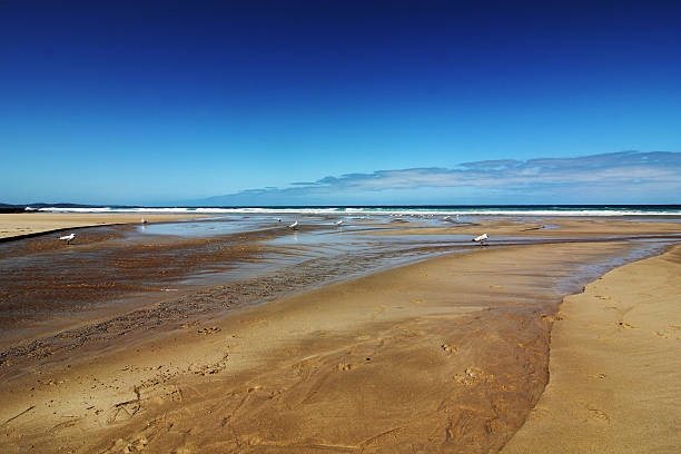 istock lorne beach at great ocean road 615991246