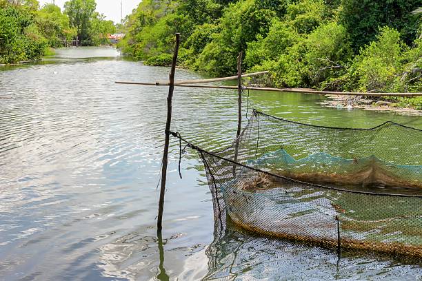 istock fish farm for growing in open  water, and soft-focus  water. 615991370