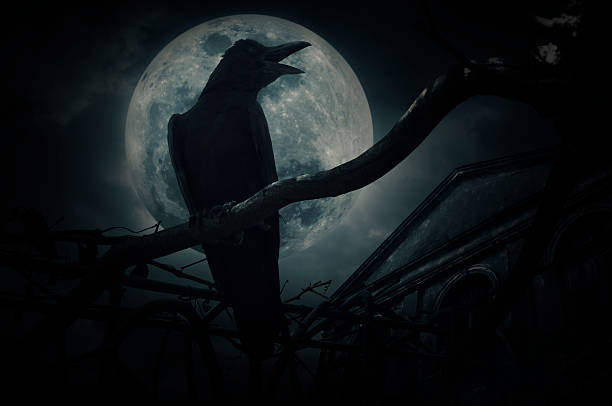 istock Crow sit on dead tree trunk and croak, Halloween concept 615992818