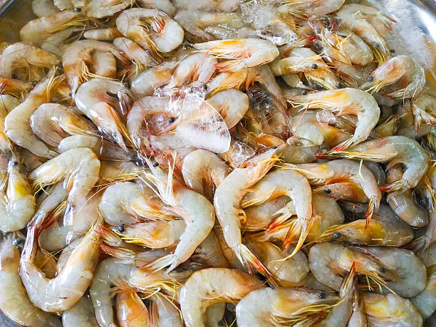 istock Fresh prawns sold at the market 615994722