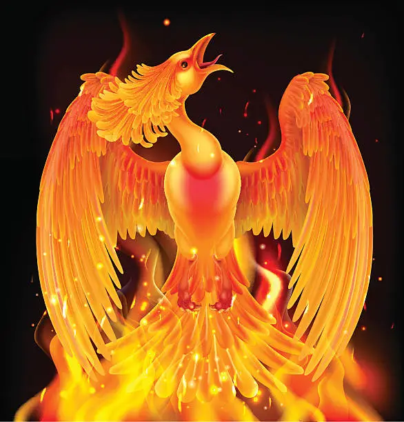 Vector illustration of Phoenix Bird Rising From Ashes