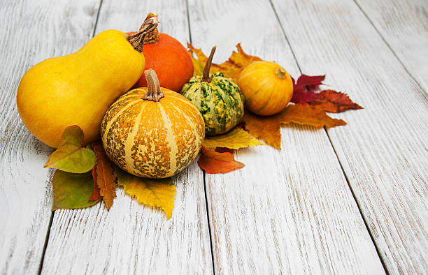 istock Pumpkin and leaves 615998956