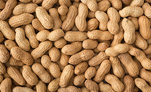 "peanuts��” bezeichnet. "  - peanut food snack healthy eating stock-fotos und bilder