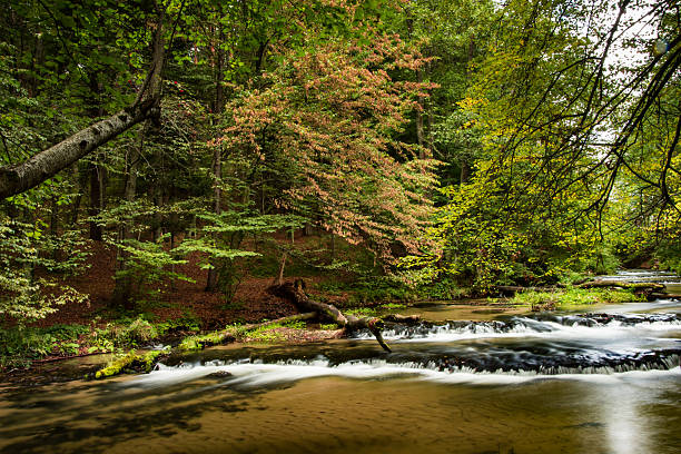 istock Tanew Creek, Mite, Poland. 616003592