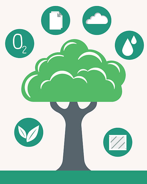 Infographic green tree Infographic green tree of ECO liger stock illustrations