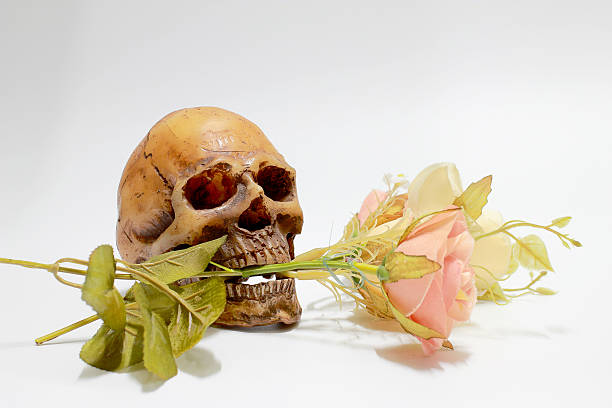 istock Bunch of flowers isolated on white background. 616005368