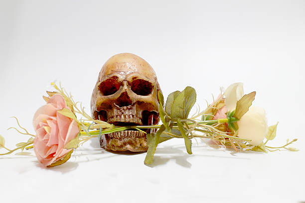 istock Bunch of flowers isolated on white background. 616005404