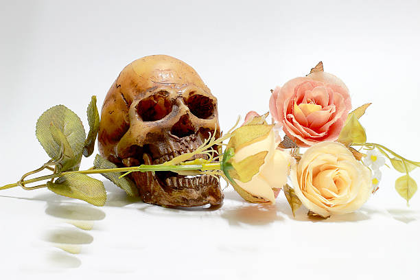 istock Bunch of flowers isolated on white background. 616005540