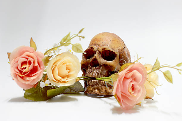 istock Bunch of flowers isolated on white background. 616005588