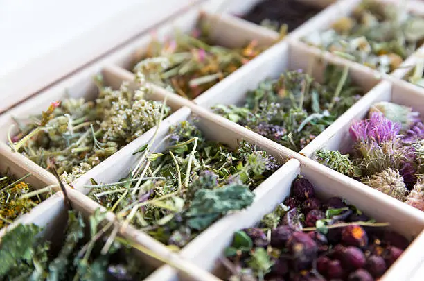 Photo of Different herbs in a wooden tea box