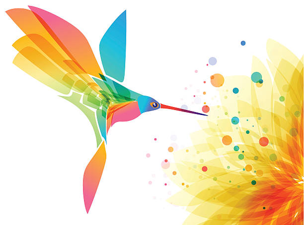 Pájaro y flor de Сolibri - ilustración de arte vectorial