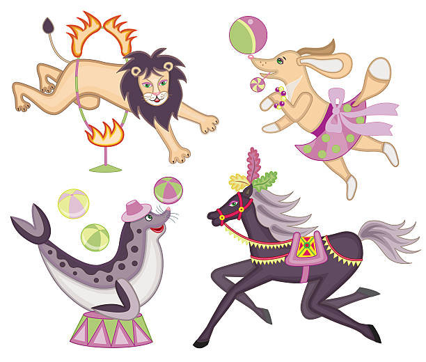 set of cheerful circus animals set of cheerful circus animals  dog and pony show stock illustrations