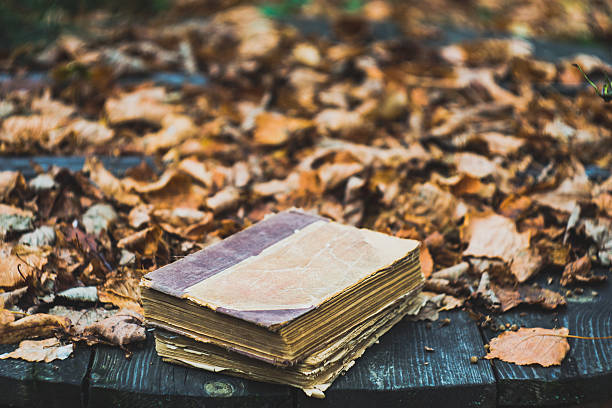 istock Old books on a wooden table in autumn garden 616011966
