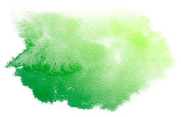 Abstract green watercolor background.