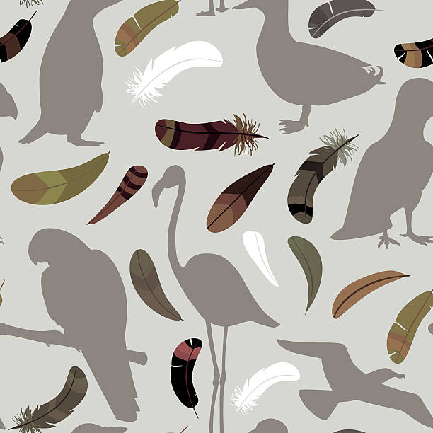seamless pattern with feathers and silhouettes of birds vector art illustration