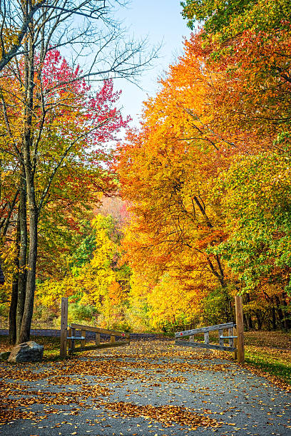 istock Autumn Park Entrance 616013230