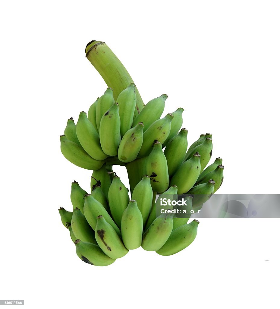 Bó Chuối Xanh Trên Nền Trắng Chuối Sống Hình ảnh Sẵn có - Tải ...