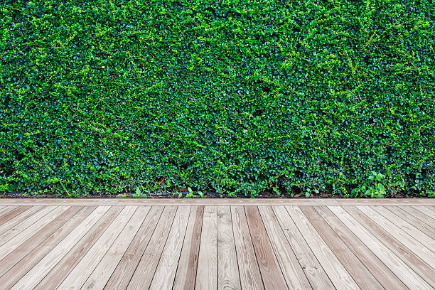 istock Wood floor with green leaves wall background 616014954