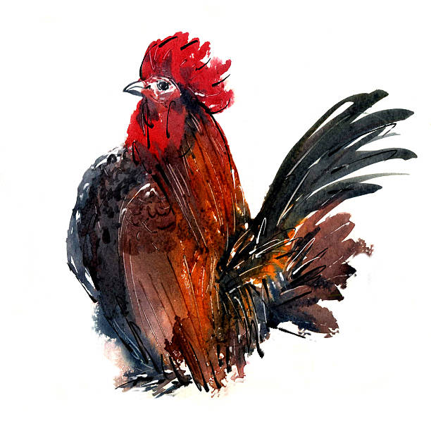 istock Watercolor chicken Animal Annual 2560/2017 on a white background. 616015310