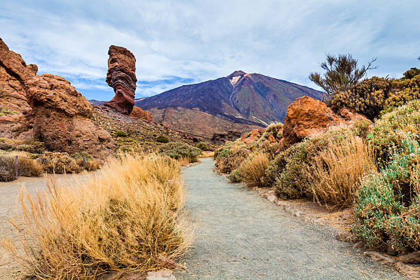istock Roques de Garcia stone and Teide mountain volcano 616015878