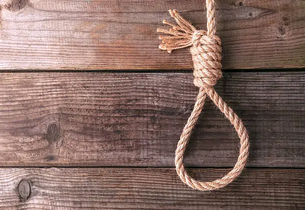 rope knotted in noose on wooden background