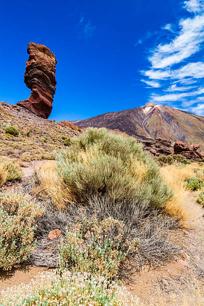 istock Finger of God (Roques de Garcia, Roque Cinchado) in Teide 616016618