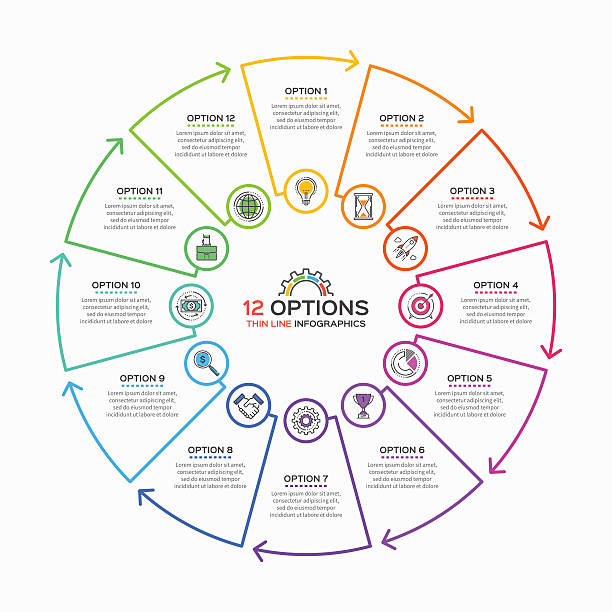 illustrations, cliparts, dessins animés et icônes de modèle d’infographie de ligne mince avec 12 options. - 12