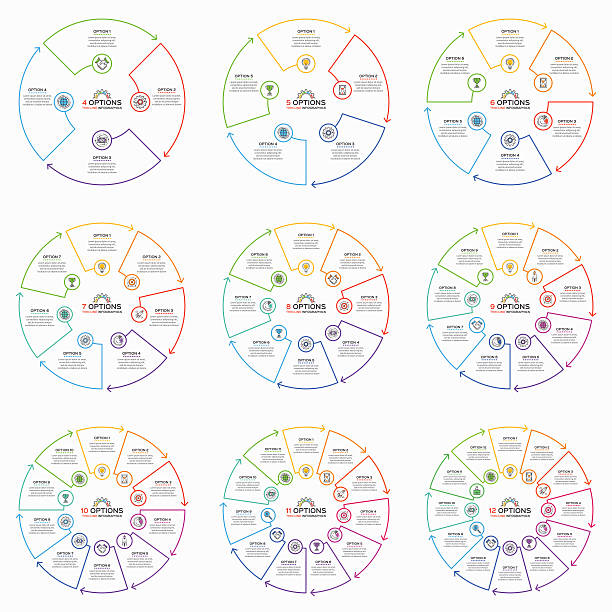 Set of thin line infographic templates with 4-12 options. Set of thin line infographic templates with 4-12 options. Vector illustration. sector stock illustrations