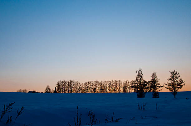 Winter snow landscape