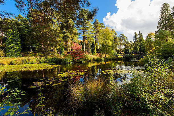 autumn colours in a park in kent - kent inglaterra imagens e fotografias de stock