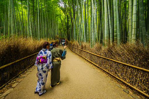 Kyoto, Japan - October 22, 2016: Two kimono-clad girls walk through the Arashiyama Bamboo Grove. 