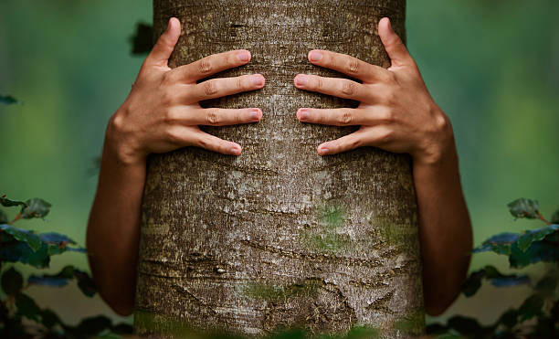 love and protect the environment front view of unrecognizable man hands embracing tree, photo taken in the forest, nature and environment protection concept. hugging tree stock pictures, royalty-free photos & images