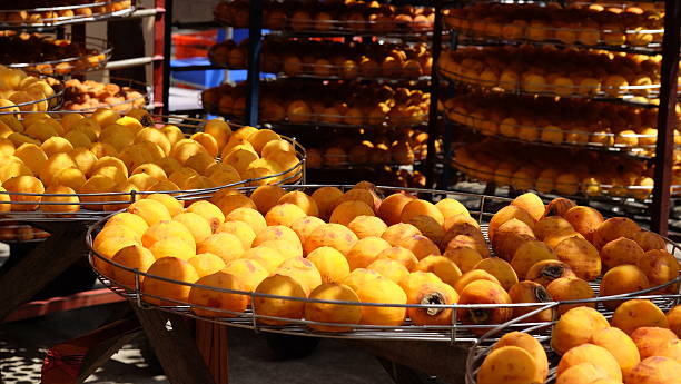 istock Making dried persimmon in Hsinpu, Hsinchu, Taiwan. 616091942