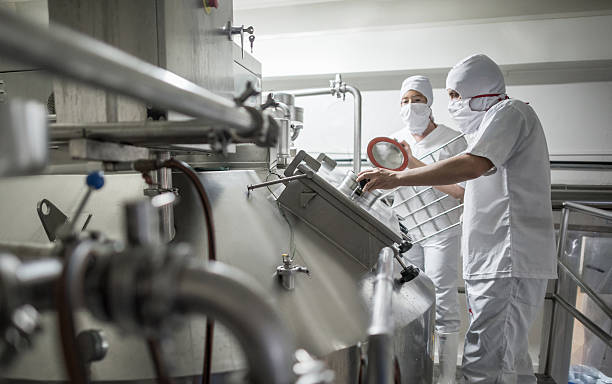 People working at a dairy factory Couple of people working at a dairy factory pasteurizing the milk - food proccessing concepts food processing plant stock pictures, royalty-free photos & images